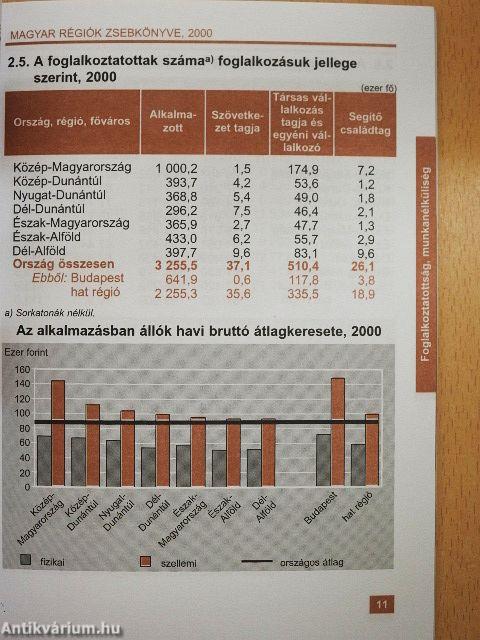 A magyar régiók zsebkönyve 2000