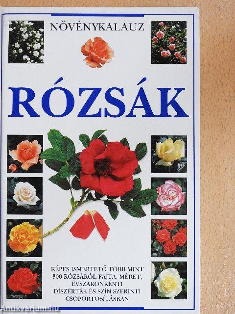 Rózsák