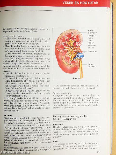 Nagy egészségkönyv