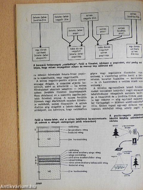 Élet és tudomány 1975. V. 30.