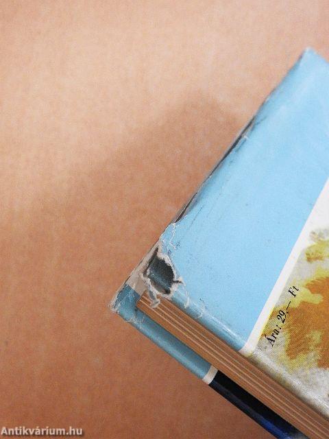 A Mount Everest meghódítása