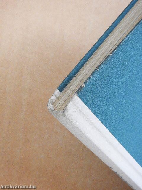 A Mount Everest meghódítása