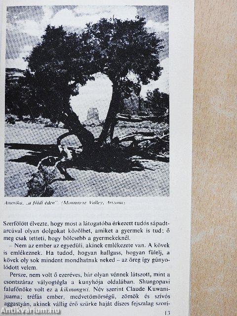 Szegény sápadtarcú