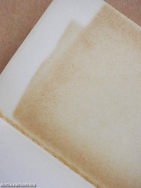 Az emlékezet labirintusa