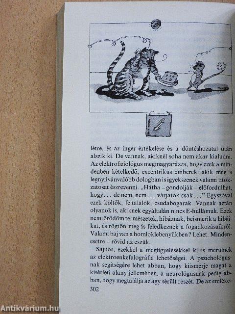 Az emlékezet labirintusa