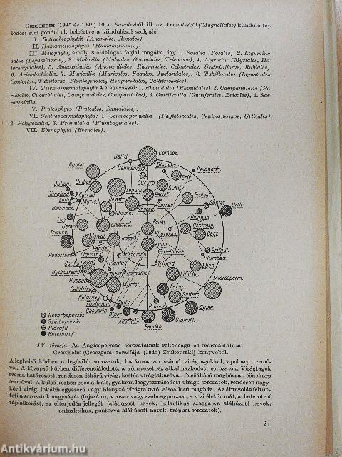 Fejlődéstörténeti növényrendszertan