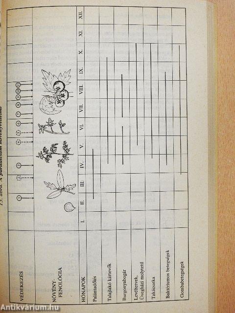 Milyen szert használjunk?