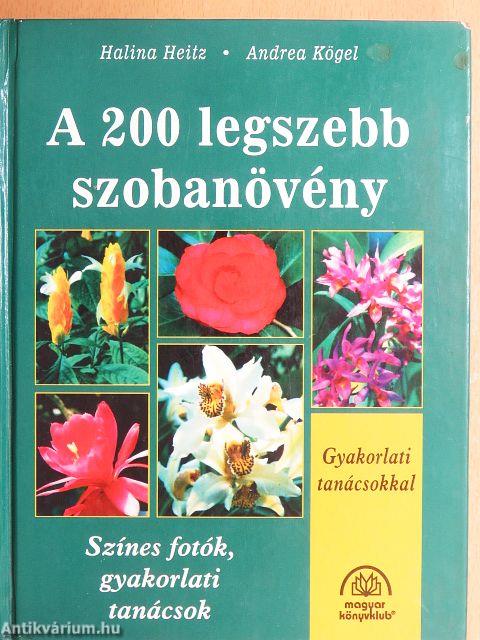 A 200 legszebb szobanövény