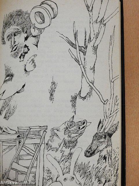 Furcsa, idegen szerelem