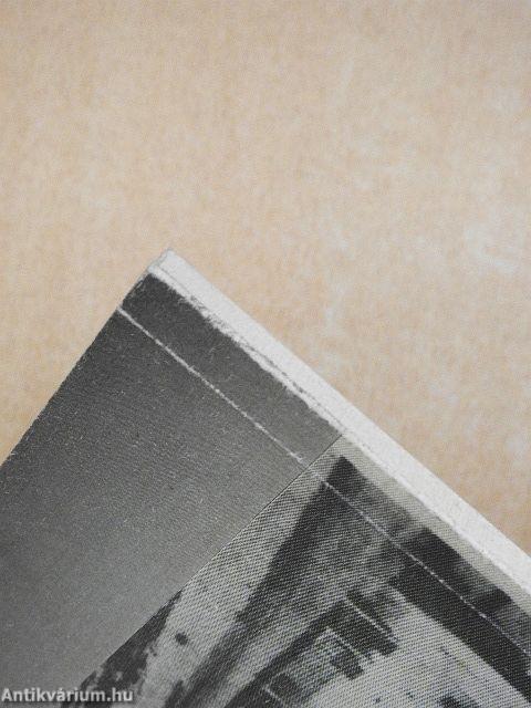 Kulturális élet a két világháború között Várpalotán