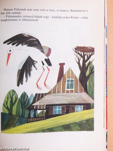 Fülesmackó kalandjai és vándorlásai