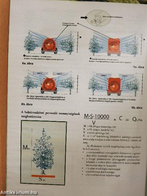 Szőlő technológiai kézikönyv