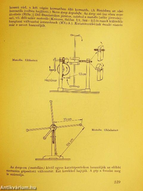 Általános Nyelvészeti Tanulmányok VIII.