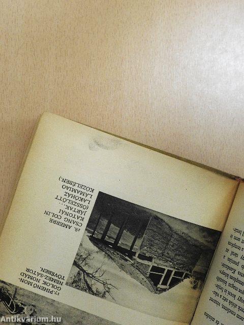 Sárga istenek, sárga emberek