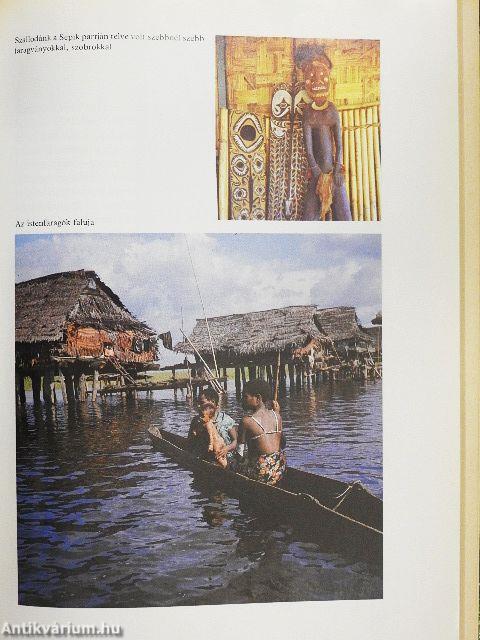 Haldokló őserdők nyomában