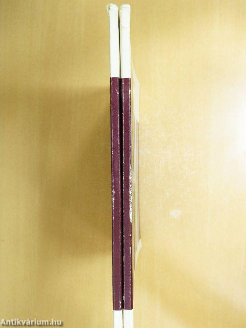 Színház és látvány I-II.