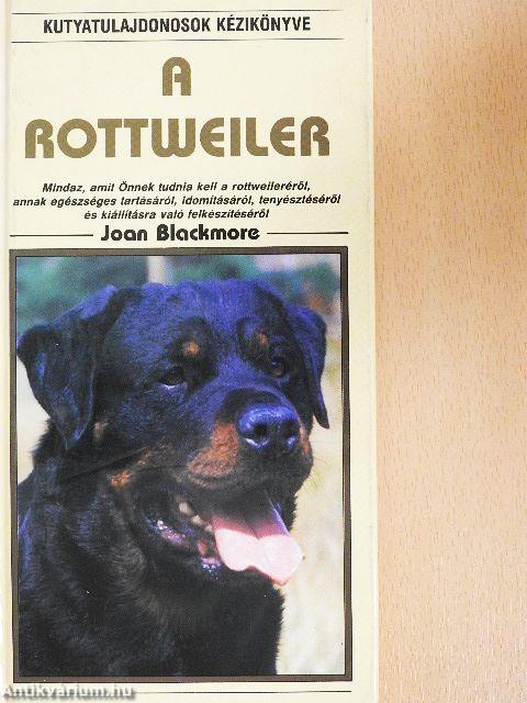 A rottweiler