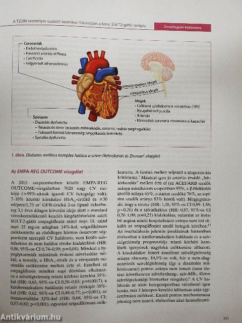 Diabetologia hungarica 2017. október