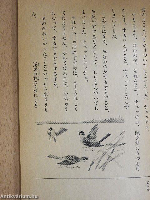 Új japán nyelv 6/II. (japán nyelvű)