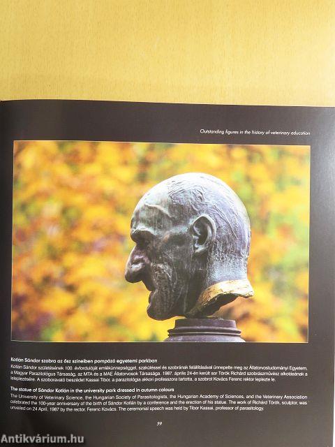 Állatorvosképzés Magyarországon