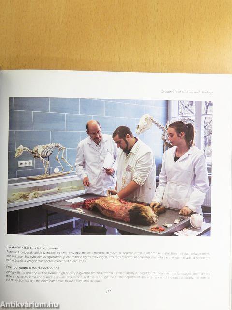 Állatorvosképzés Magyarországon