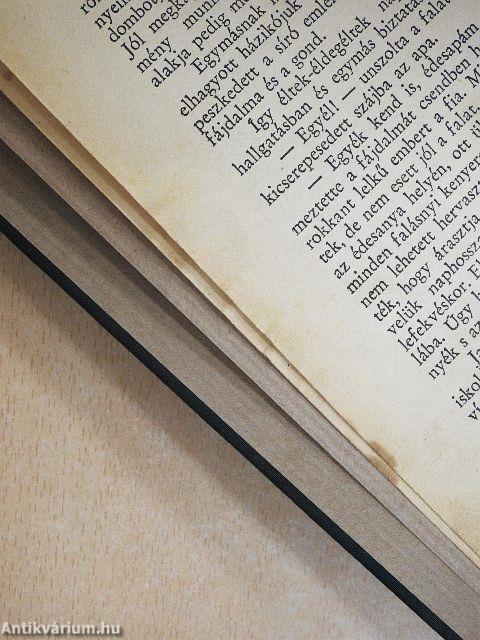 Mindentudó kis Makra