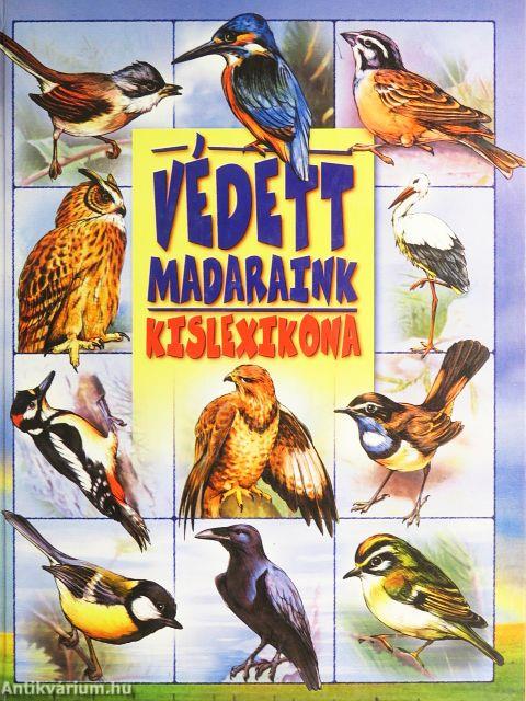 Védett madaraink kislexikona