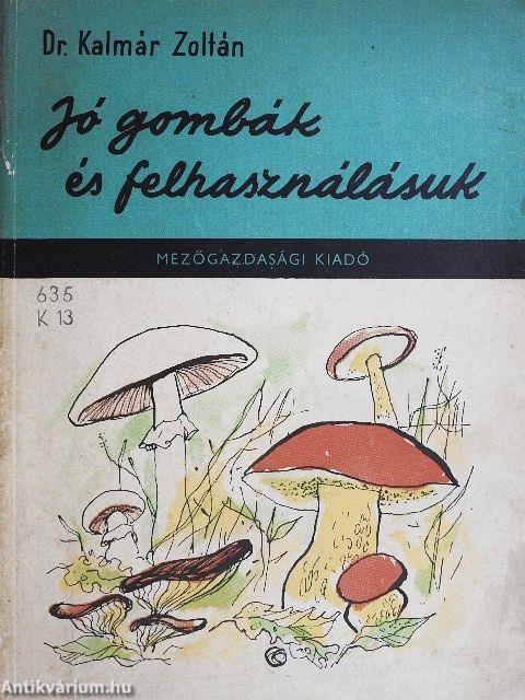 Jó gombák és felhasználásuk