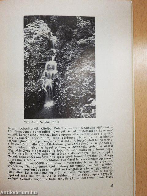 A vácrátóti botanikus kert