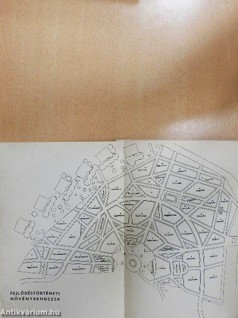 A vácrátóti botanikus kert