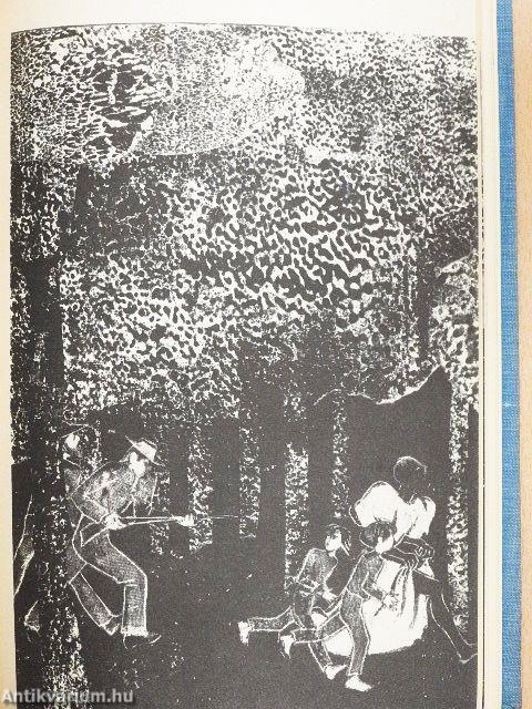 Huckleberry Finn kalandjai