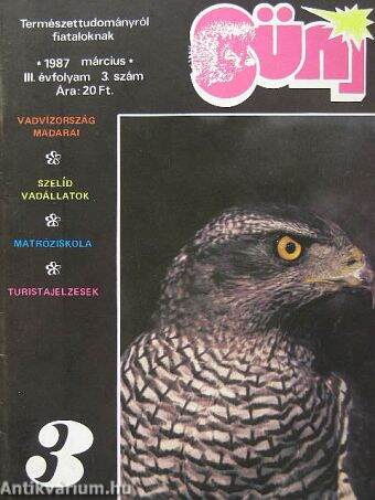 Süni 1987. március