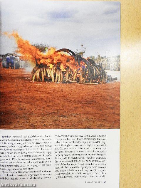 National Geographic Magyarország 2012. október