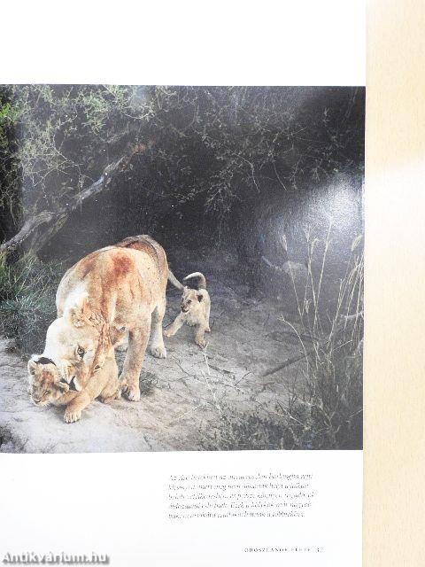 National Geographic Magyarország 2013. augusztus