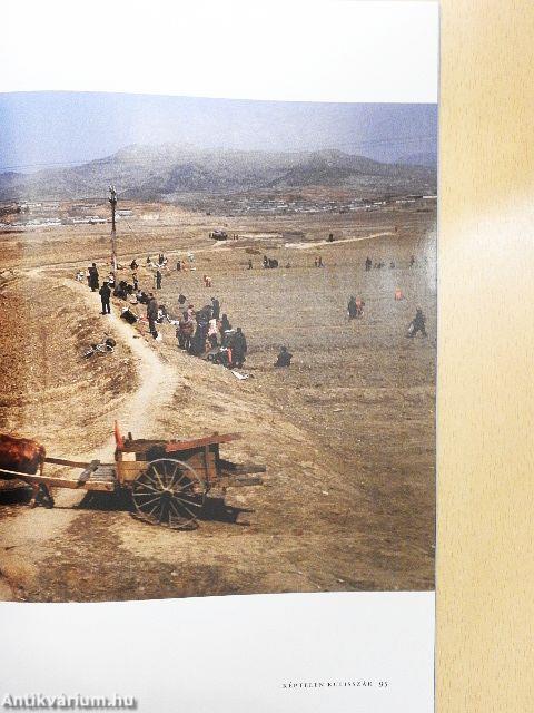 National Geographic Magyarország 2013. október