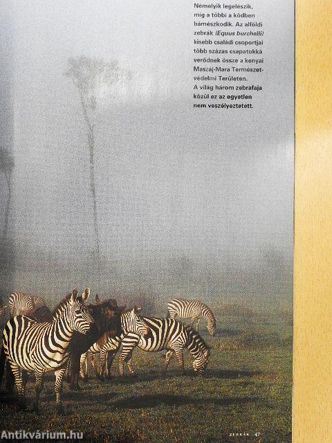 National Geographic Magyarország 2003. szeptember