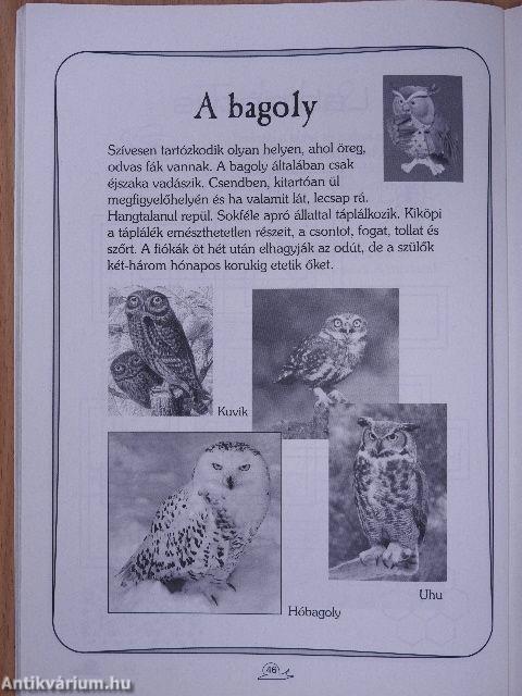 Biga-csiga 2008. május-június