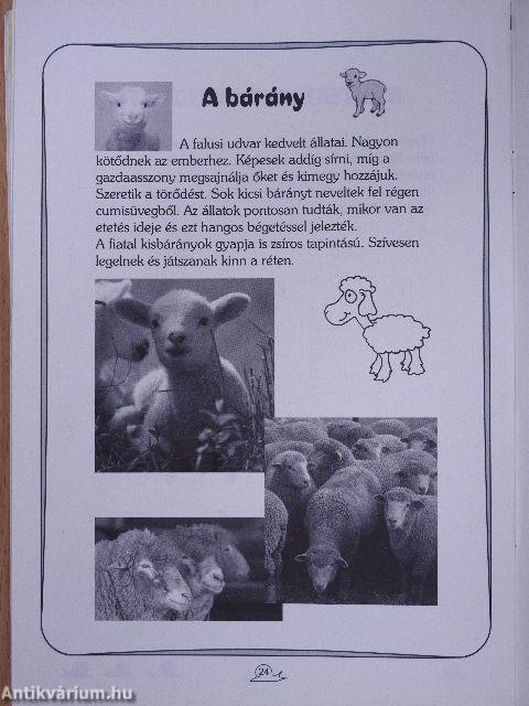 Biga-csiga 2008. február