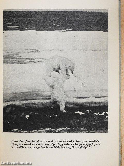 Észak óriásai között