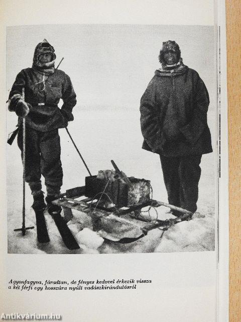 Asszony az Arktiszon