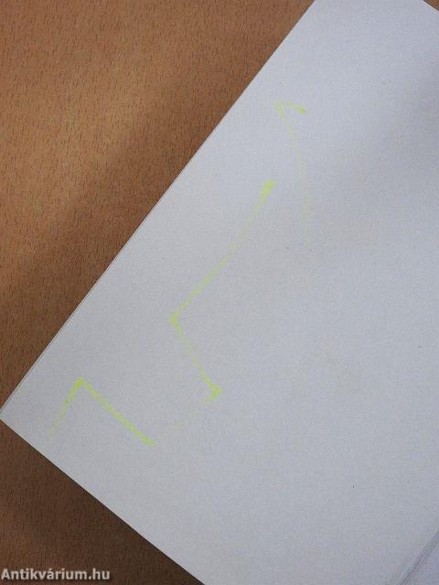 Magyar-angol kéziszótár