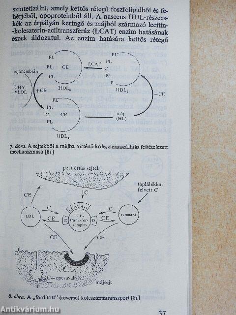 Atherosclerosis