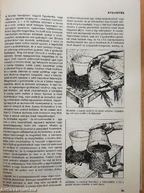 A növénykedvelő kislexikona