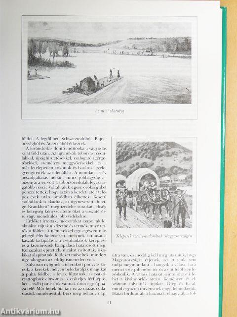 Pilisvörösvár története és néprajza