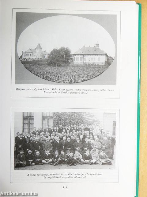 Pilisvörösvár története és néprajza