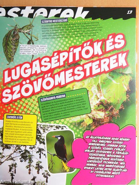 Született művészek