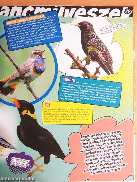 Született művészek