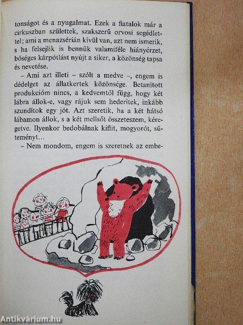 Buksi a repülőgépen