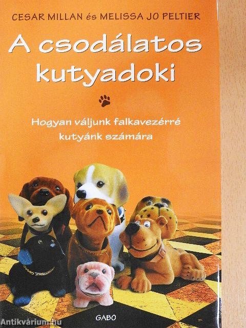 A csodálatos kutyadoki