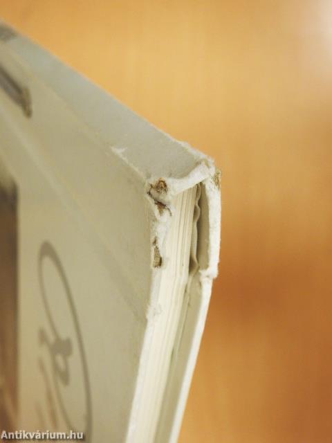 Rembrandt és a Biblia